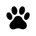 Pet Haven Hub